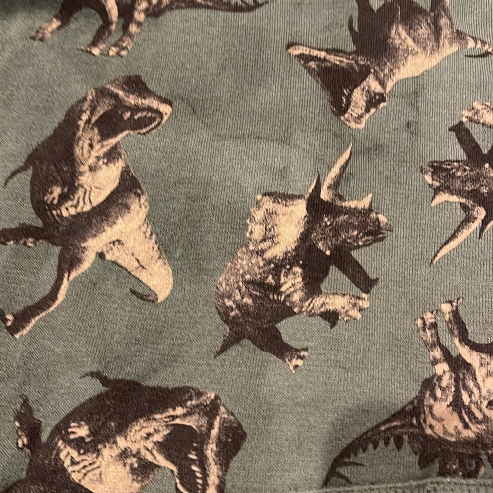Dinosaur sweatpants and hoodie - Picture 8 of 8